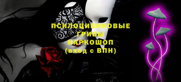 гашик Ладушкин