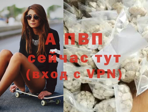 кокс Лабытнанги
