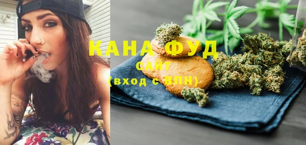 гашик Ладушкин